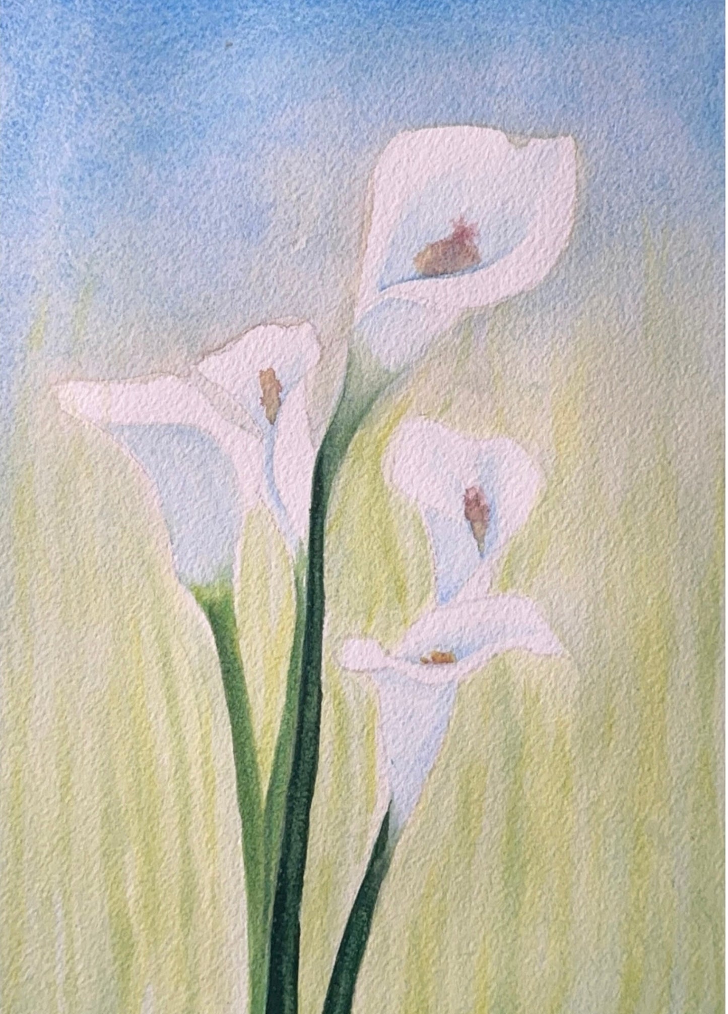 Watercolor Lillies (Paper)