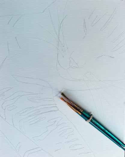 Paint Your Pet — Take Home Kit