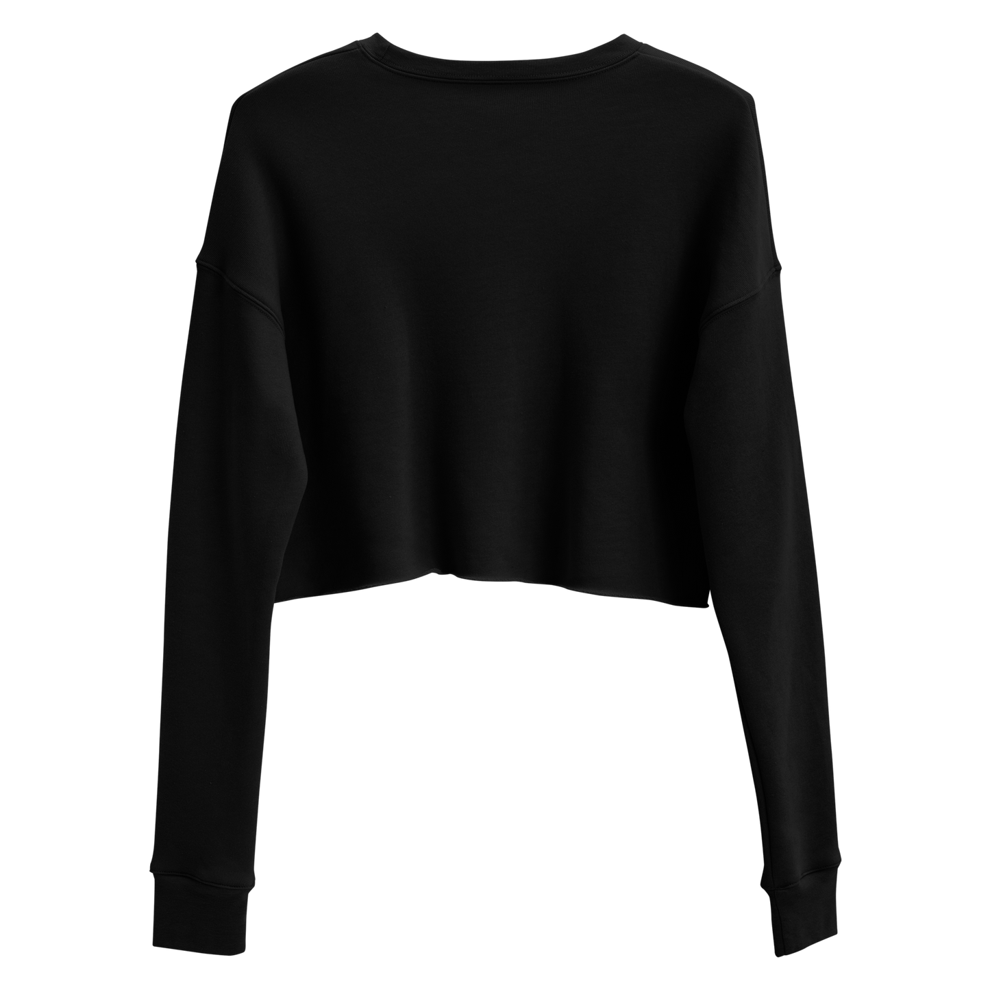 Aries Art SF Crop Sweatshirt