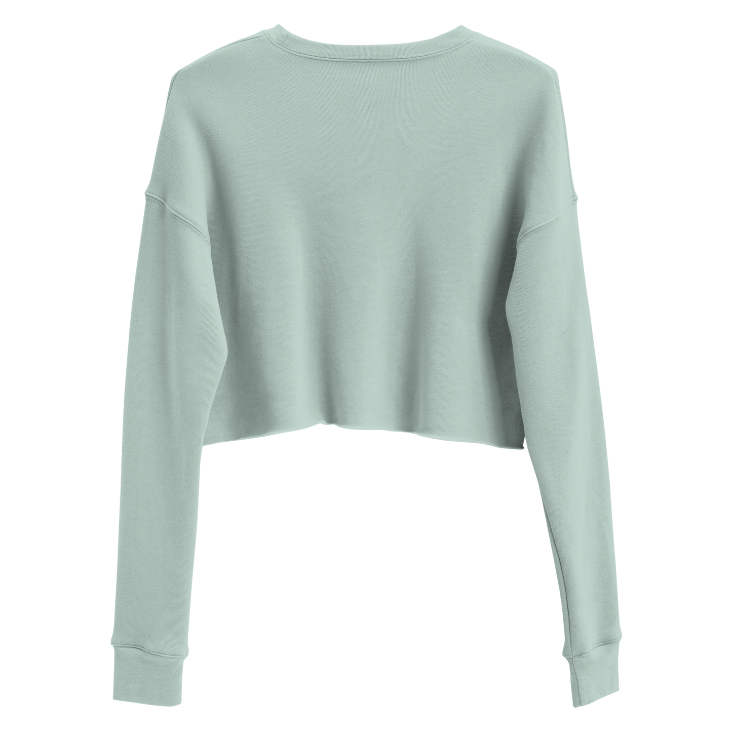 Aries Art SF Crop Sweatshirt